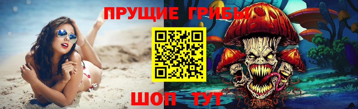 Псилоцибиновые грибы мухоморы Каменск-Уральский
