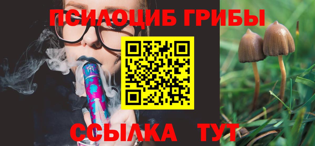 Псилоцибиновые грибы Psilocybe  Вход с VPN  Каменск-Уральский 
